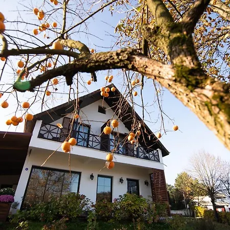 Hotel Nora Butik Ve Bursa